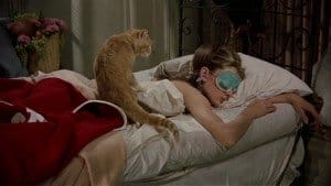 lady sleeping with a cat