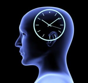 internal brain clock