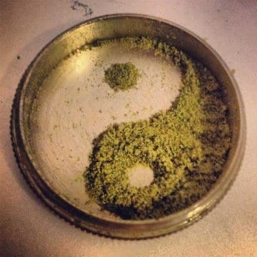 best herb grinder