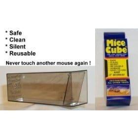 best mouse trap