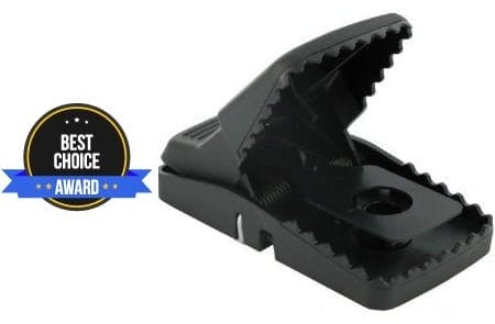best mouse trap