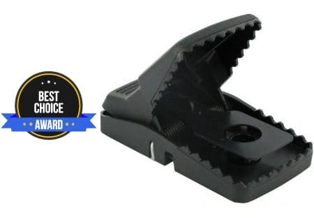 Best Mouse Trap