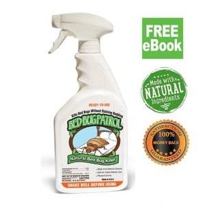 best bed bug spray