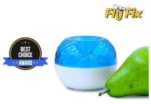 best fruit fly trap