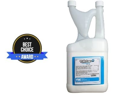 Best Spider Killer - Top 5 Detailed Reviews | TheReviewGurus.com