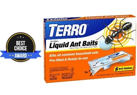 Best Ant Killer