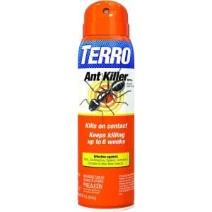 best ant killer