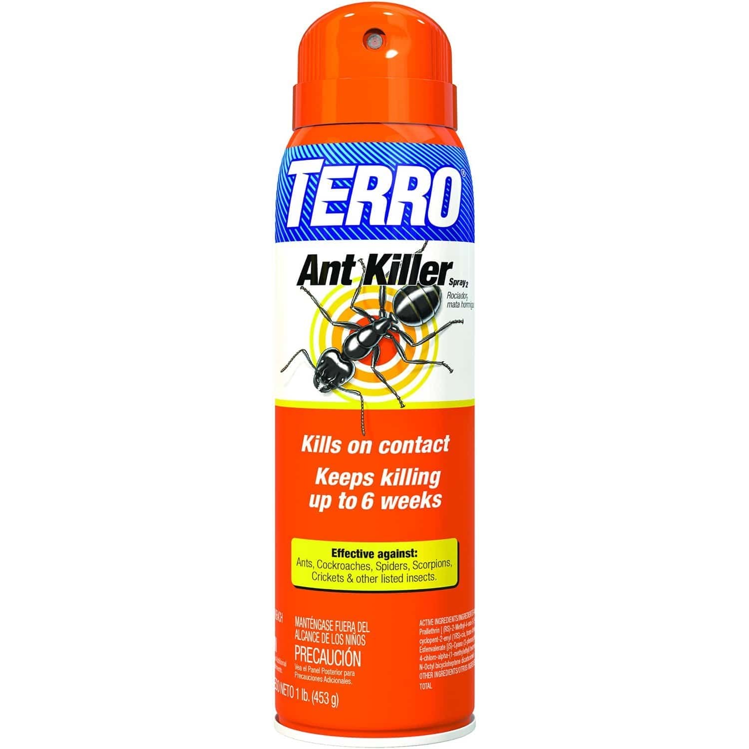 best ant killer