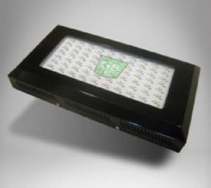 best led grow lights