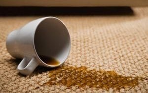 best carpet stain remover