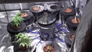 best hydroponic system