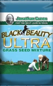 best grass seed