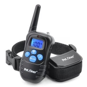 best dog training collar