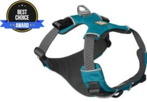 best dog harness