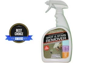 best carpet stain remover