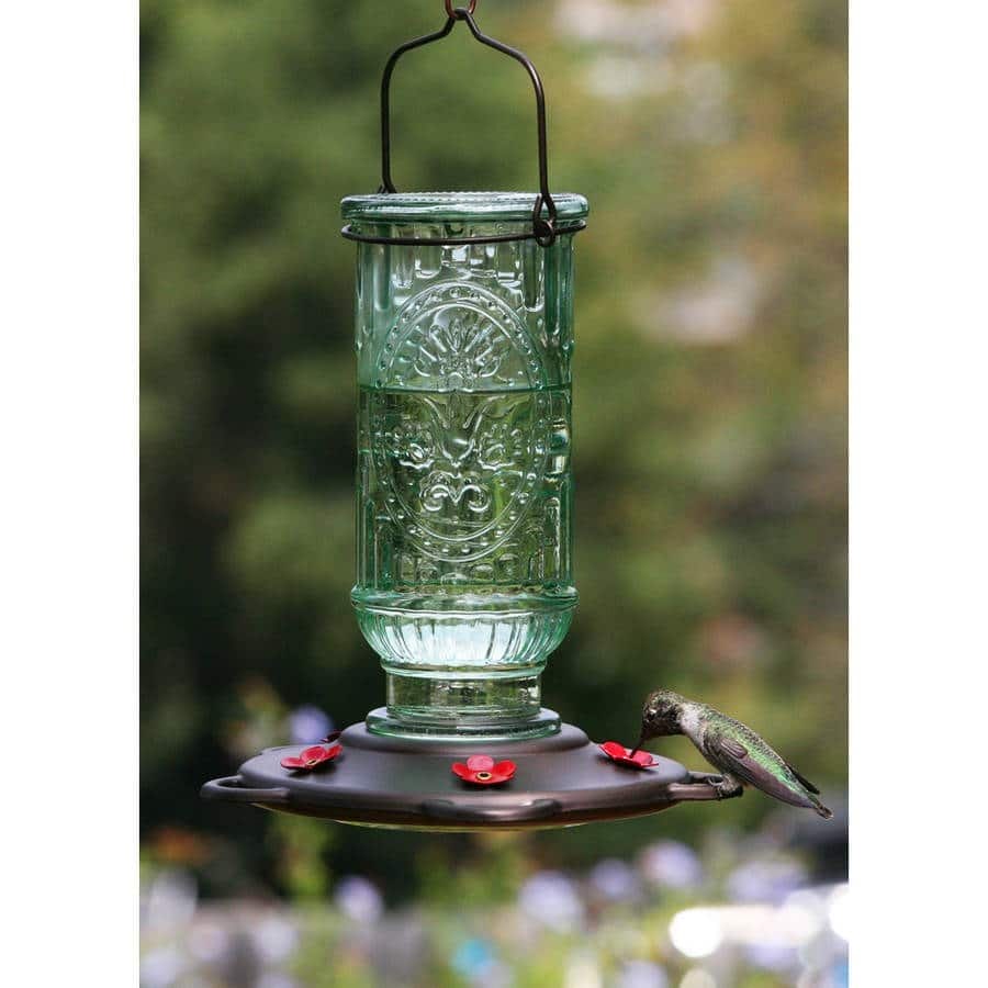 best hummingbird feeder