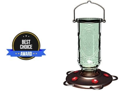Best Hummingbird Feeder