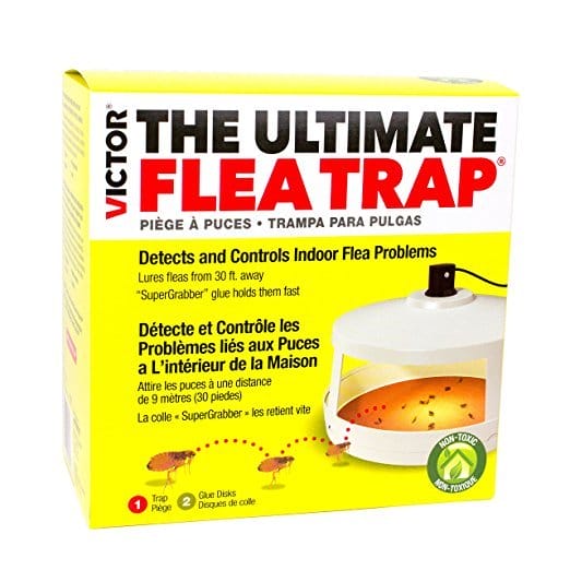 best flea bomb for house