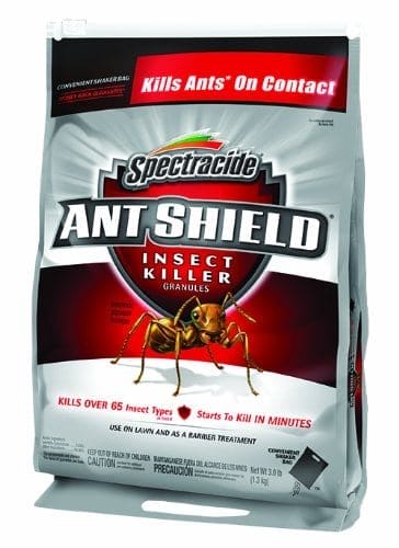 best ant killer for lawns