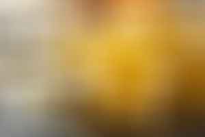 best manuka honey