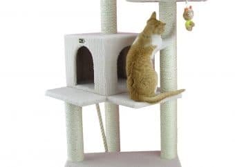 best cat tree
