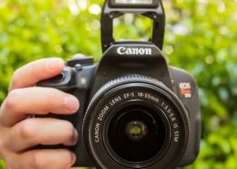 best dslr under 500