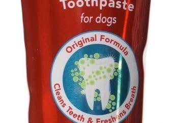 best dog toothpaste