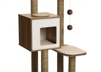 best cat tree