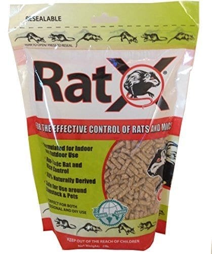 best rat poison