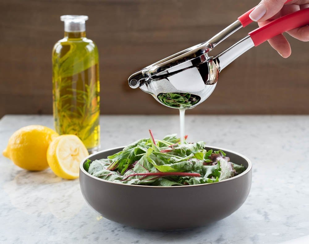 best lemon squeezer