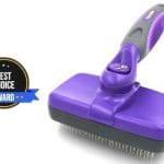 best cat brush
