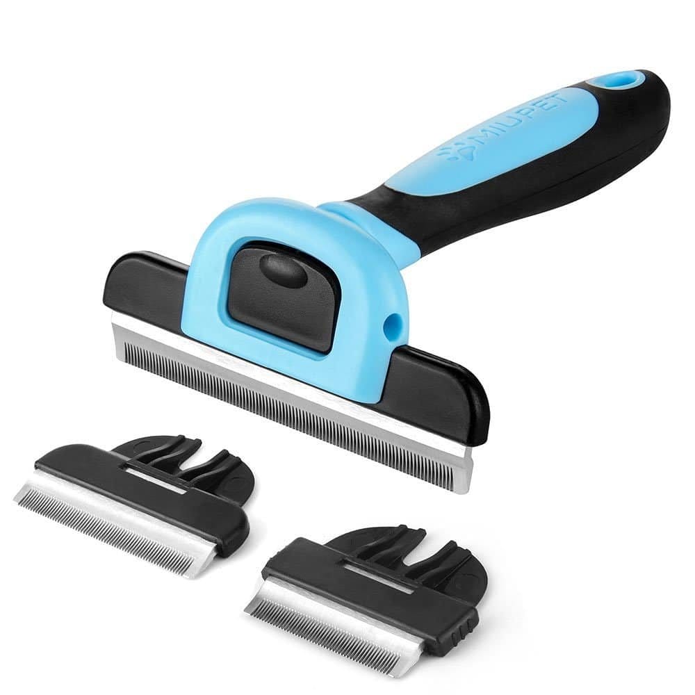 Best Cat Brush Latest Detailed Reviews