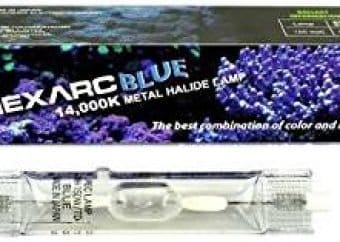 best metal halide bulb for reef tanks