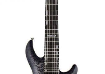 best 8 string guitar
