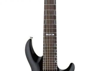 best 8 string guitar