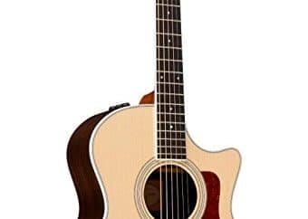 best fingerpicking guitar