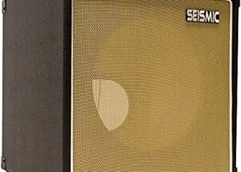 best 1x12 guitar cabinet