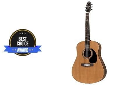 best fingerpicking guitar