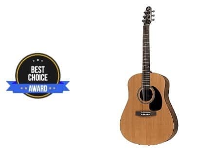 best fingerpicking guitar