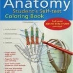 Learn body anatomy