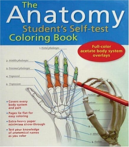 Learn body anatomy