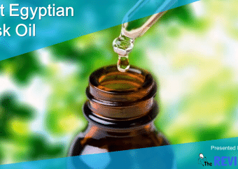 5 Best Egyptian Musk Oil Perfume Buying Guide