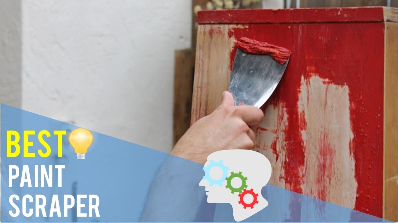 Best Paint Scraper Top 5 Reviews