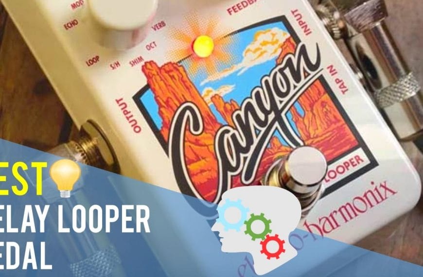 Best Delay Looper Pedal