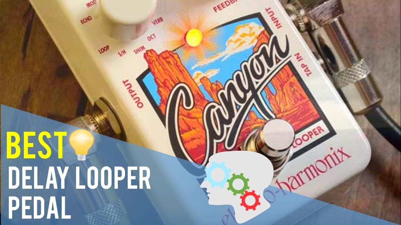 Best Delay Looper Pedal