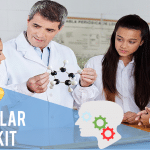 Best Molecular Model Kit