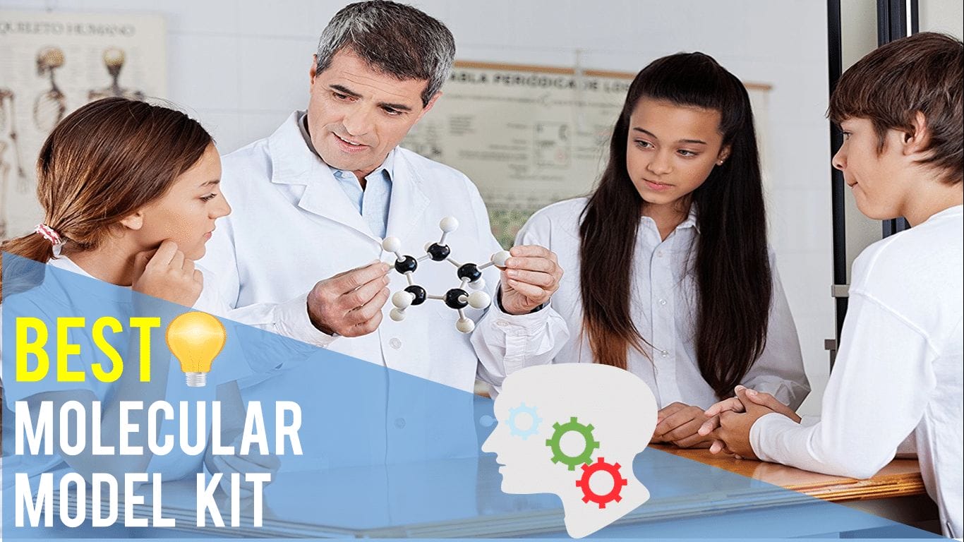 Best Molecular Model Kit