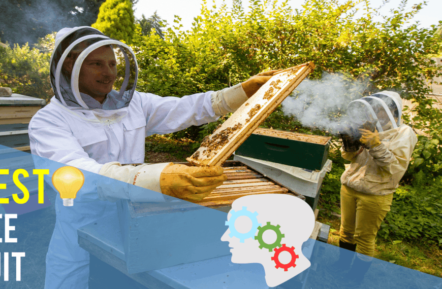 Best Bee Suit