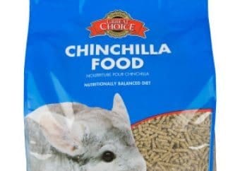 best chinchilla food