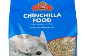 best chinchilla food